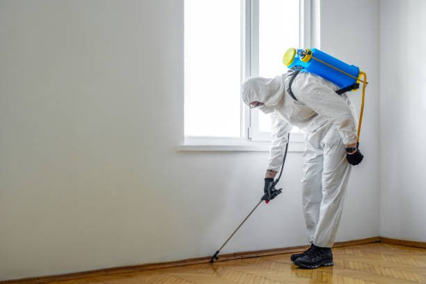 Best Affordable Pest Control Services  in Raoul, GA