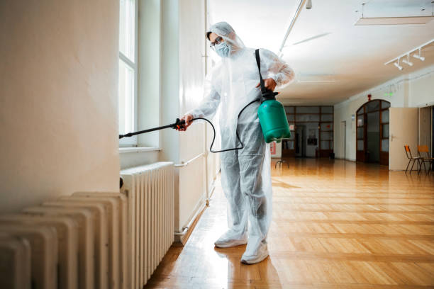 Best Pest Control for Businesses  in Raoul, GA